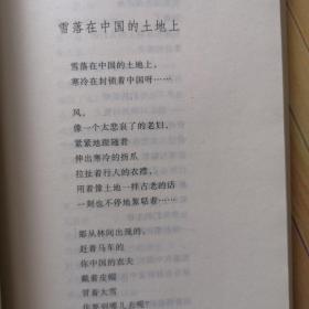 中国当代名诗人选集：艾青