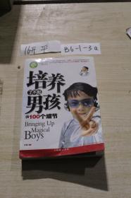 培养了不起男孩的100个细节