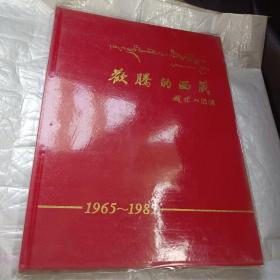 欢腾的西藏（1965—1985）