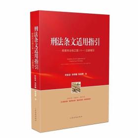 现货  刑法条文适用指引——根据刑法修正案（十一）全新编写