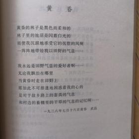 中国当代名诗人选集：艾青