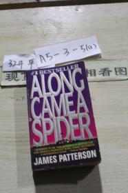 ALONG CAMEA SPIDER