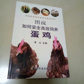 图说如何安全高效饲养蛋鸡