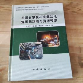 四川省攀枝花宝鼎盆地煤沉积环境与资源预测