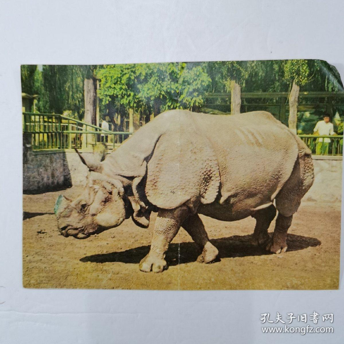 点击查看原图 北京动物园导游图