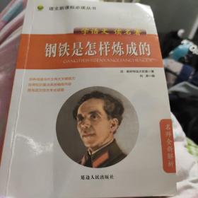 钢铁是怎样炼成的