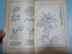 怎样画菊花