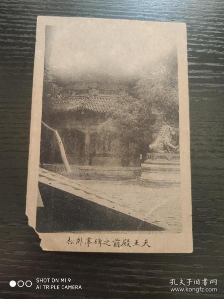 中国早期明信片：天王殿前之碑亭卧松