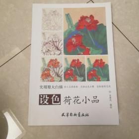 设色荷花小品/实用原大白描