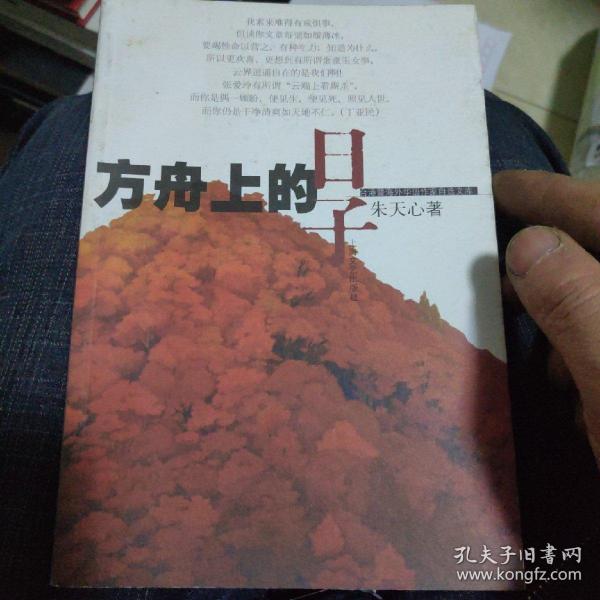 方舟上的日子