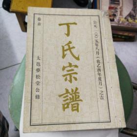 丁氏宗谱（全八册加卷八续）