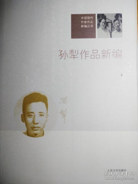 中国现代作家作品新编丛书：孙犁作品新编