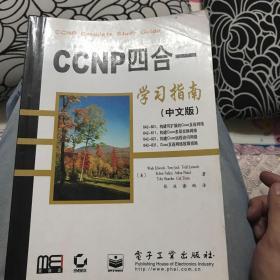 CCNP四合一学习指南（中文版）