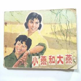 电影连环画:小燕和大燕