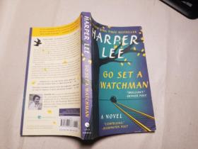 Go Set a Watchman  A Novel