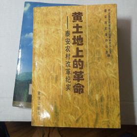 黄土地上的革命:泰安农村改革纪实