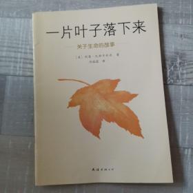 一片叶子落下来：关于生命的故事