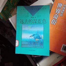遠(yuǎn)去的深藍(lán)色