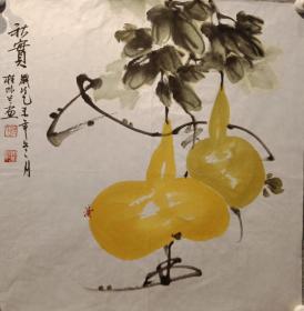 秋实  葫芦50-50桂际兰
