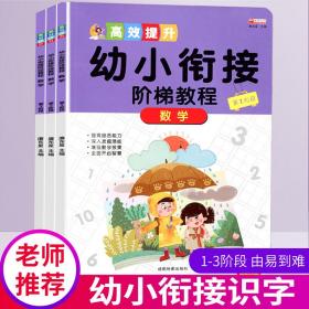 幼小衔接阶梯教程 数学(1-3)(