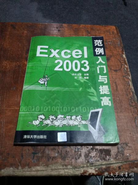 Excel 2003范例入门与提高