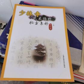 少林寺武术伤科秘方集释