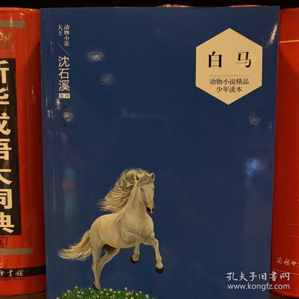 动物小说精品少年读本 白马