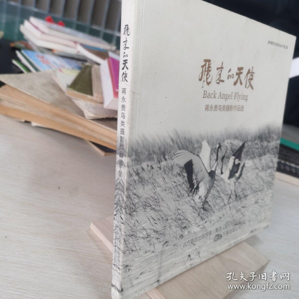 飞来的天使