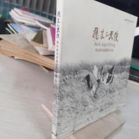 飞来的天使