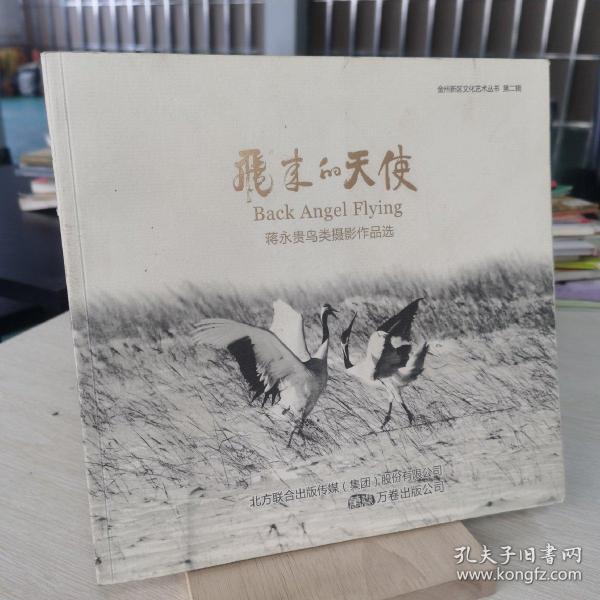 飞来的天使