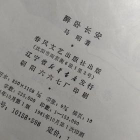 酔卧长安