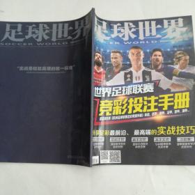 足球世界