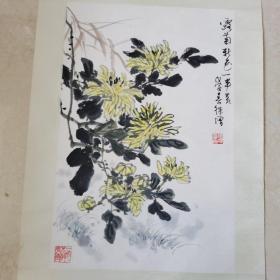 海派著名画家徐增，精裱镜片。露新色一半黄，菊花画原作。