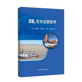 CO2无水压裂技术