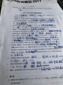 普通高等学校体育教育专业主干课系列教材：体育概论