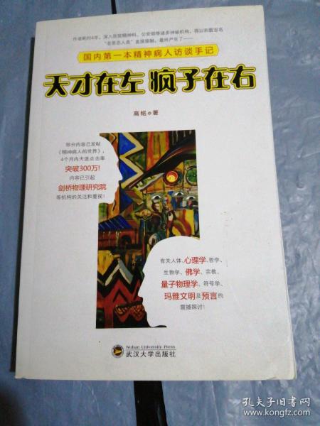 天才在左 疯子在右：国内第一本精神病人访谈手记