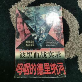 呜咽的德里纳河:波黑血战实录