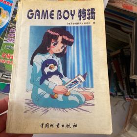 GAME BOY特辑 有一张贴画