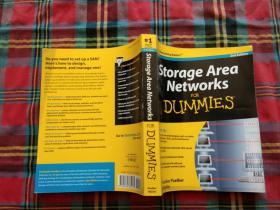 Storage Area Networks For Dummies