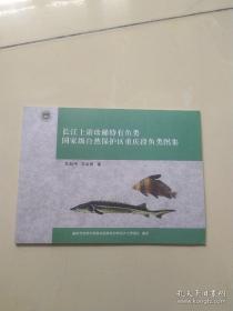 长江上游珍稀特有鱼类国家级自然保护区重庆段鱼类图集。