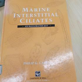 marine interstitial ciliates