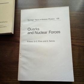 Quarks and nuclear forces 夸克与核力