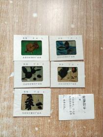 幻灯片干果【5幅图片+1册说明书】