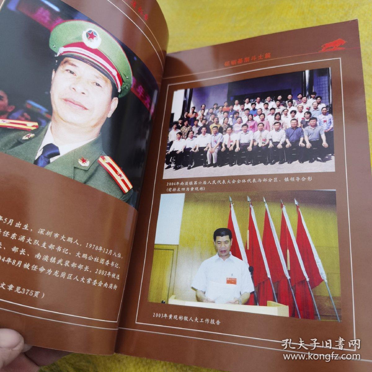 向军旗报告 深圳市优秀转业复员军人创业纪实 第二册