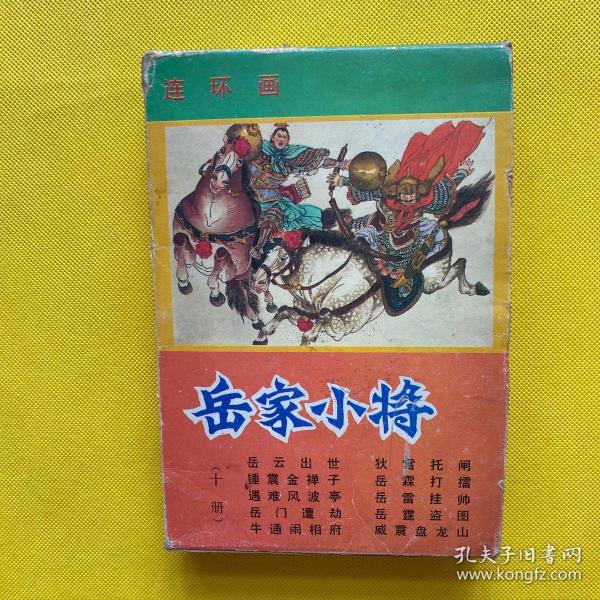 岳家小将（10册盒装）