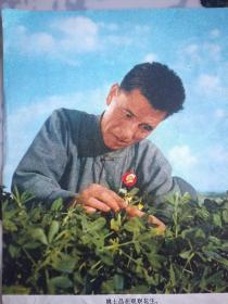 **时期剪图照片。