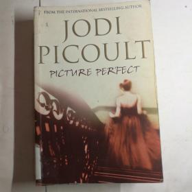 Picture Perfect jodi picoult