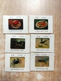 幻灯片动物 水生动物【1-6】6幅图片合售