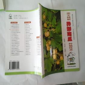 图文精解异形南瓜种植技术(品相好)