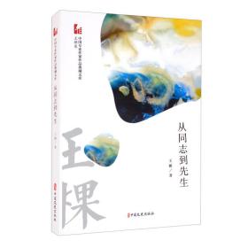 从同志到先生/中国专业作家作品典藏文库·王棵卷